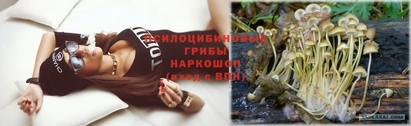 не бодяженный Алексин