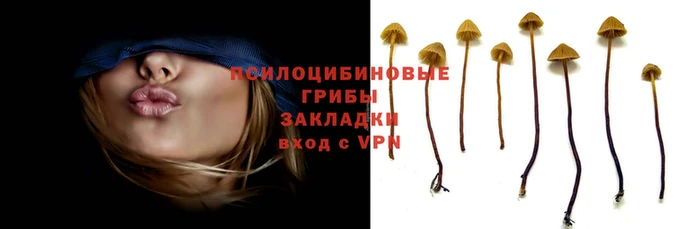 ПСИЛОЦИБИНОВЫЕ ГРИБЫ Алексеевка