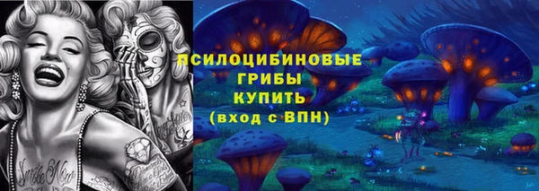 ПСИЛОЦИБИНОВЫЕ ГРИБЫ Алексеевка